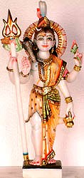 ardha nari nateshwar shiva shambhu