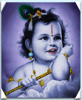 bala krishna