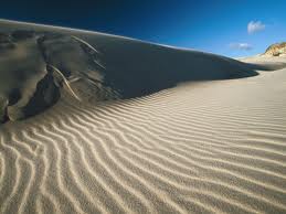 desert 